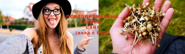 ECSTASY Алексин